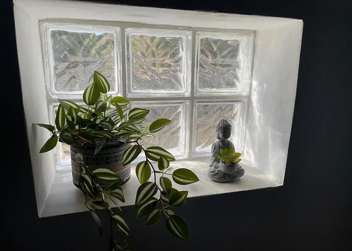 Loris'house * Drymon