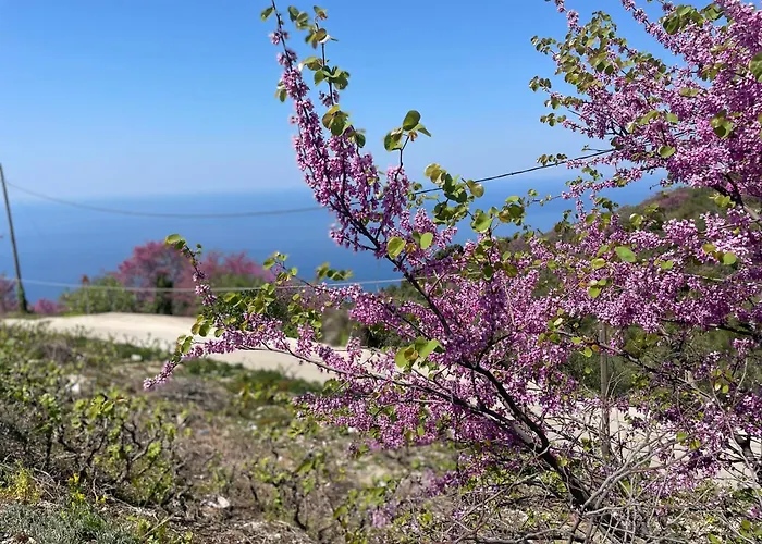 Loris'house Vakantiehuis *